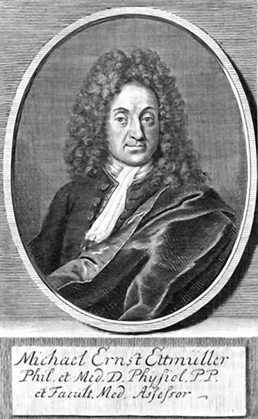 ملف:Michael-Ernst-Ettmueller.jpg