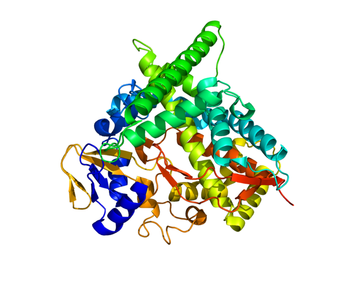 ملف:Protein CYP46A1 PDB 2Q9F.png