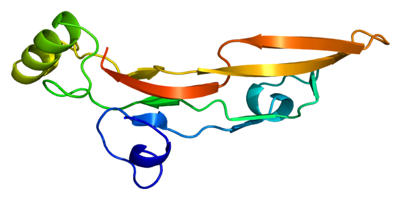 ملف:Protein TGFB2 PDB 1tfg.png