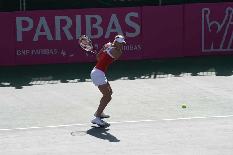 ملف:Sharapova hitting backhand.JPG