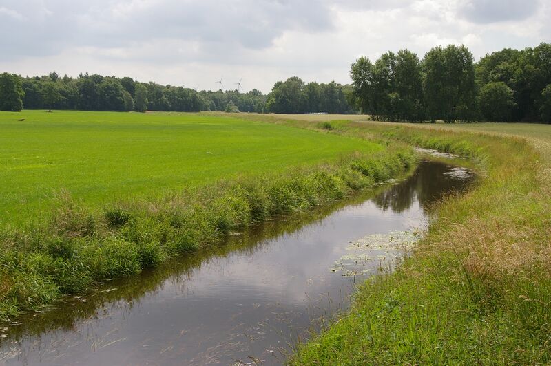 ملف:Kleine Aue.jpg