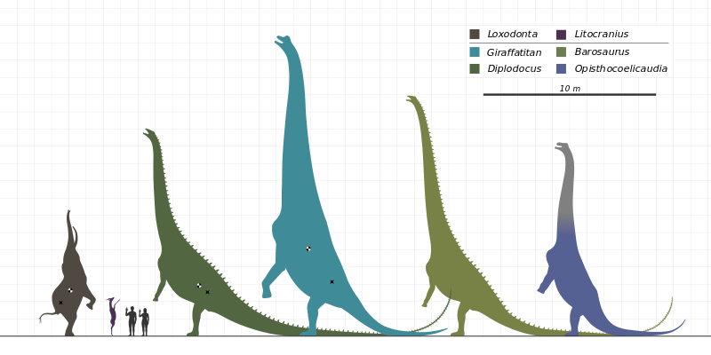 ملف:Sauropod-Rearing-Diagram-SVG-001.svg