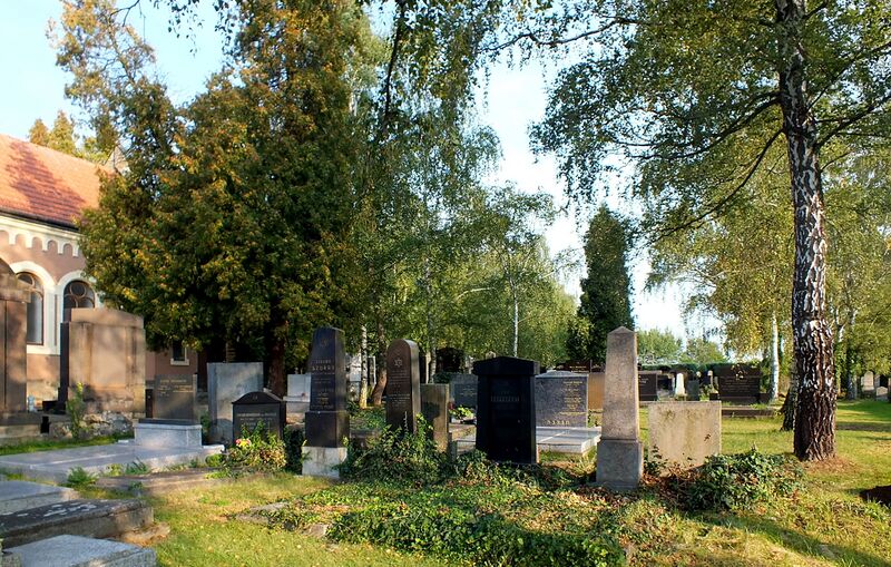 ملف:ŽH Olomouc (02).jpg