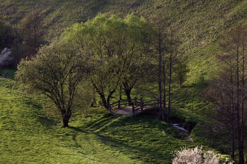 ملف:Kochhartgraben MichaD 1.jpg