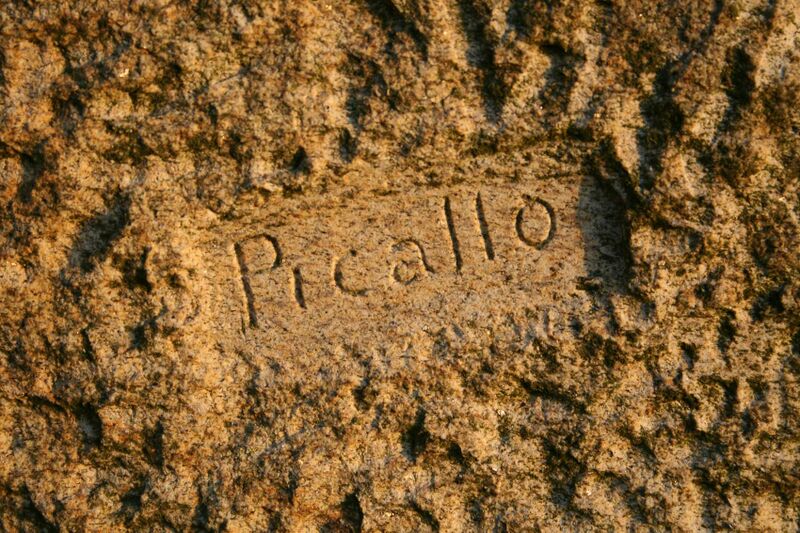 ملف:Maxín Picallo. Firma.JPG