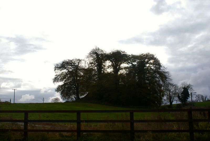 ملف:Motte inniskeen.jpg