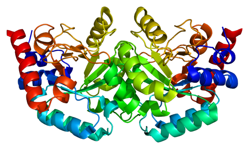 ملف:Protein UMPS PDB 2eaw.png