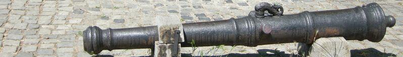 ملف:Buda banner Long cannon.jpg