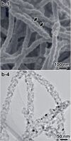SEM (top) and TEM (bottom) images of chiral TiO2 nanofibers[78]