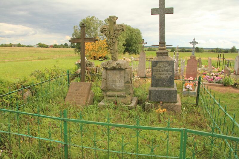 ملف:Cmentarz Szawry - Ostyk-Narbutt.jpg