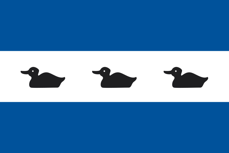 ملف:Flag of Diemen (municipality).svg