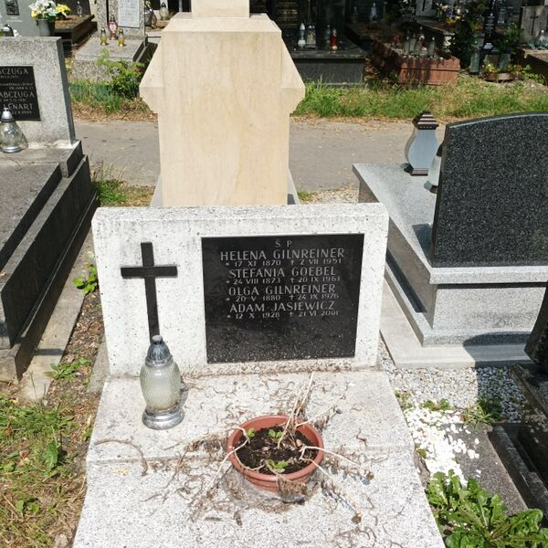 ملف:Grób prof. Adama Jasiewicza.jpg