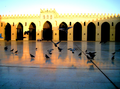 Hakim Mosque - Pigeons.png