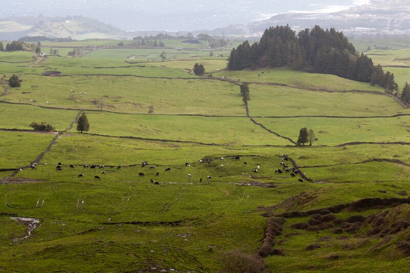 ملف:São Miguel Pastures.jpg