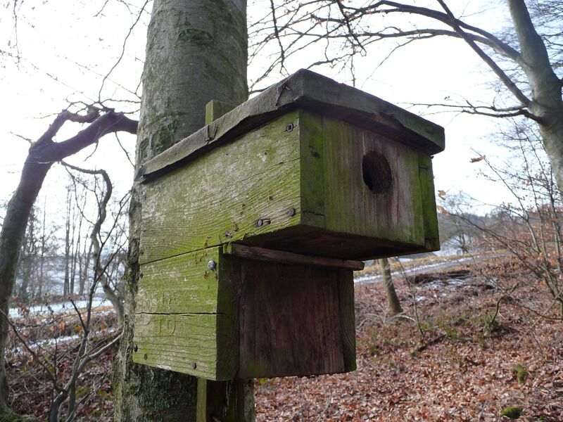 ملف:Nistkasten mit Marderschutz.JPG