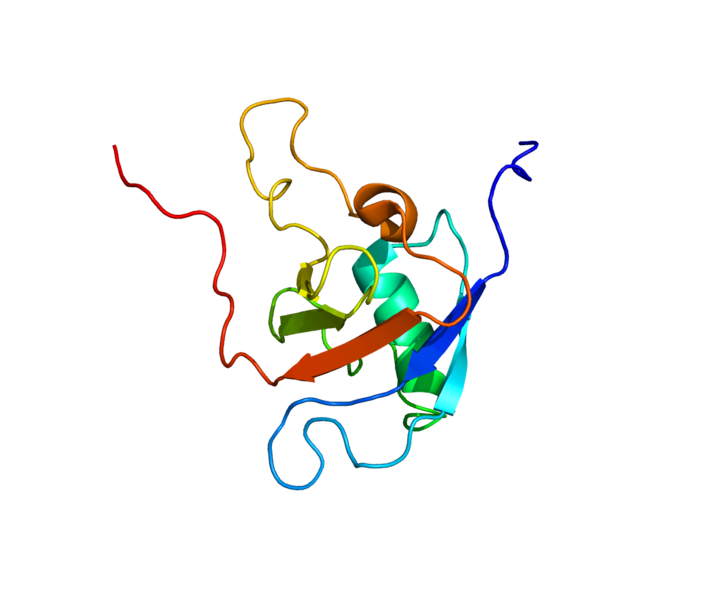 ملف:Protein PLXNB1 PDB 2JPH.png