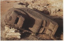 أسد عين دارا عند اكتشافه.