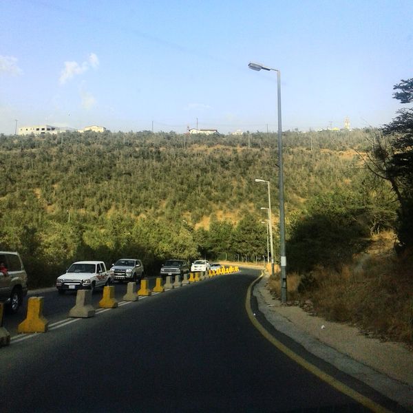 ملف:Albaha9021 - 1.jpeg