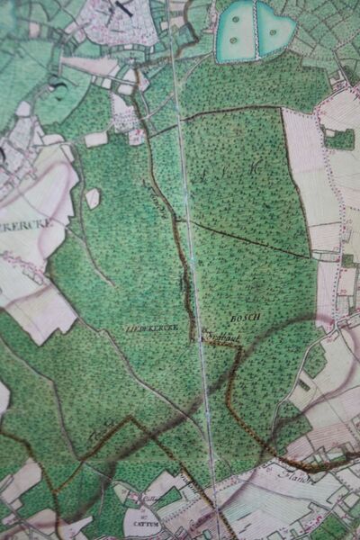 ملف:Bos Ferraris 01.jpg