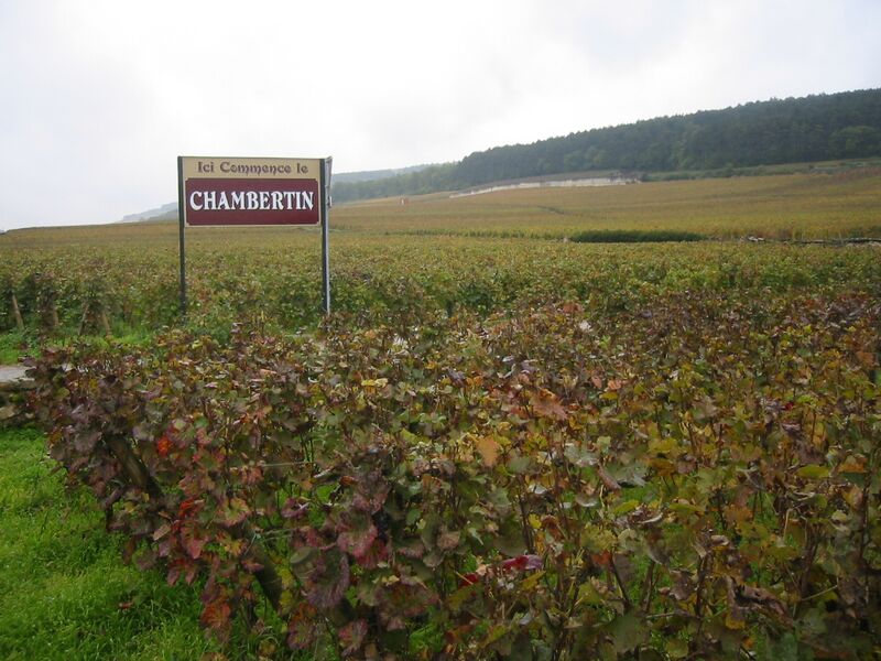 ملف:Ici commence le Chambertin.JPG