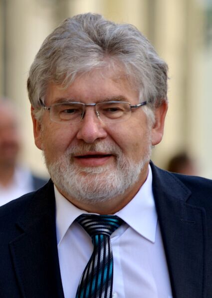 ملف:Martin Holcát 2013.JPG