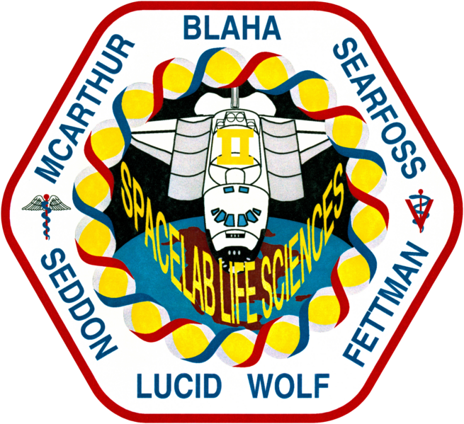 ملف:Sts-58-patch.png