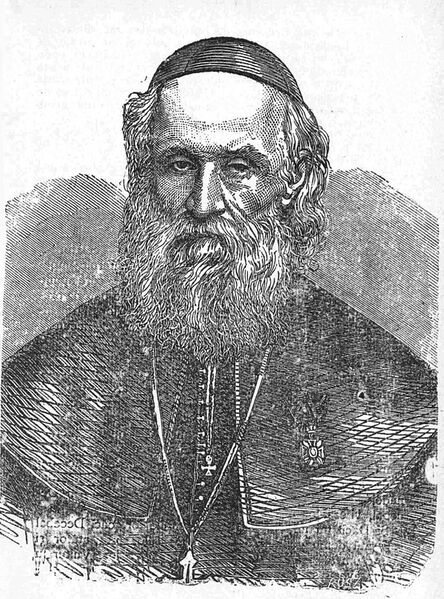 ملف:Alexandru Sterca-Șuluțiu.jpg