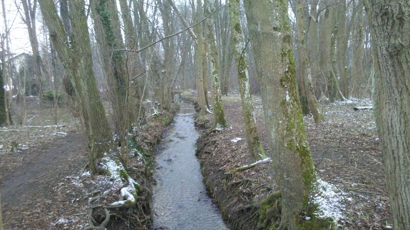 ملف:Fischbach (Gröbenbach).jpg