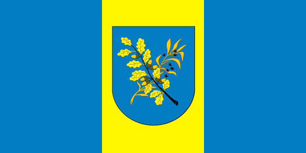 ملف:Flag of Dziaržynsk, Belarus.svg