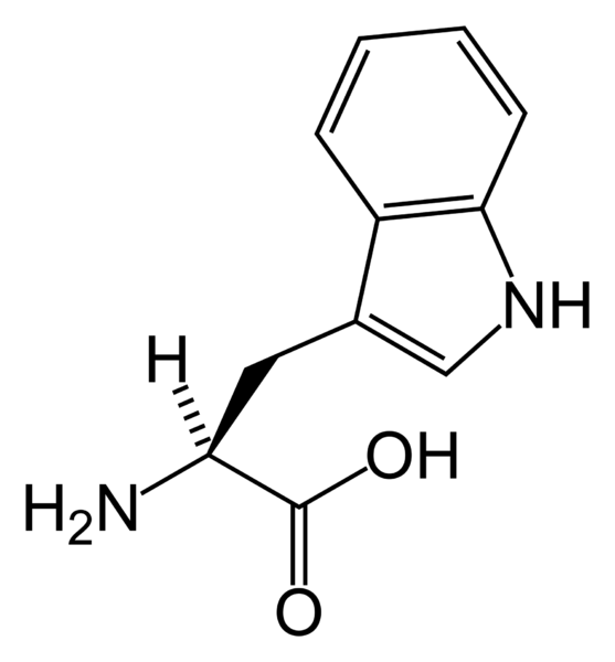 ملف:L-tryptophan-skeletal.png