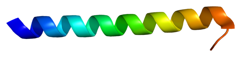 ملف:Protein KCNQ4 PDB 2ovc.png