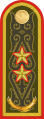 Генерал-лейтенант General-leytenant[28] (القوات البرية القزخية)