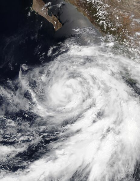 ملف:Celia 2022-06-24 2010Z.jpg