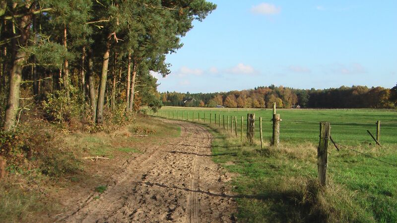 ملف:Montferland Stokkum Zandpad (1).jpg