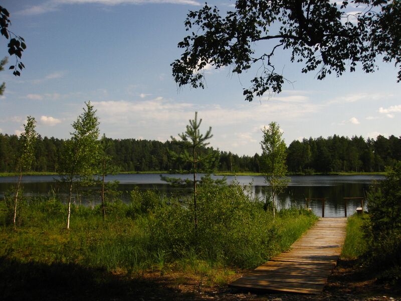 ملف:Parika Väikejärv11.JPG
