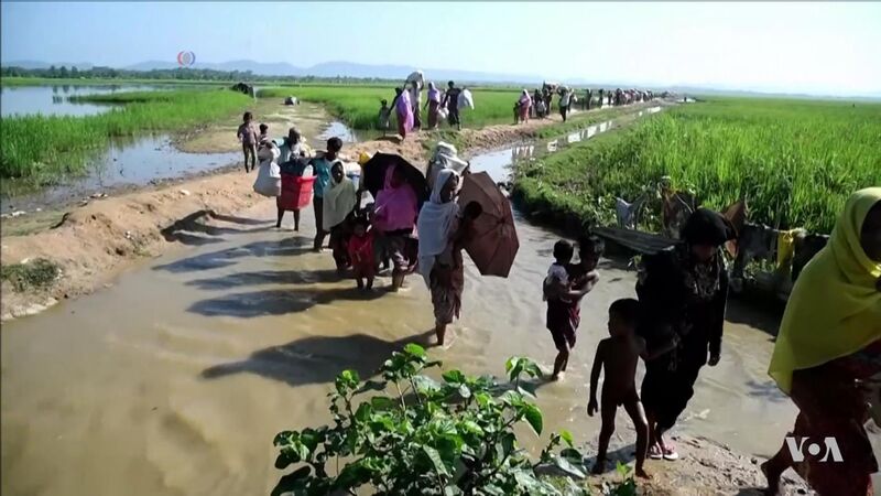 ملف:Rohingya refugees entering Bangladesh after being driven out of Myanmar, 2017.JPG