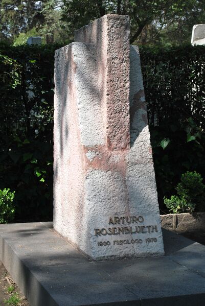ملف:ArturoRosenbluethtombDoloresDF.JPG
