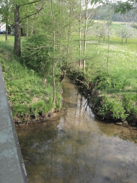 ملف:Avenbachmündung in Kottspiel.jpg