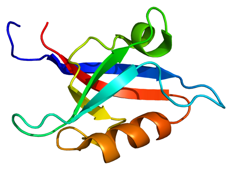 ملف:Protein GRIP1 PDB 1m5z.png