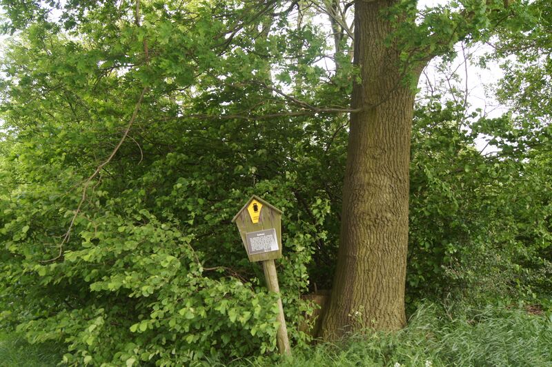 ملف:LSG Kottmar 01.JPG