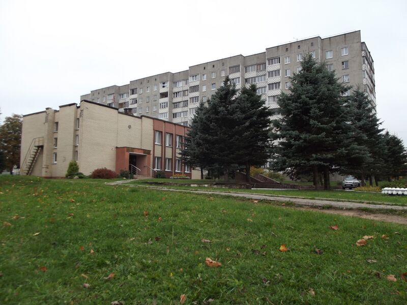 ملف:Lesnoi (Minsk distr).JPG