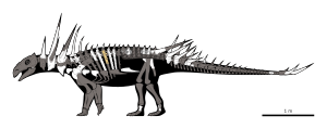 Spicomellus Skeletal.svg