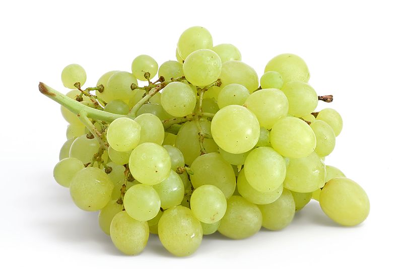 ملف:Table grapes on white.jpg