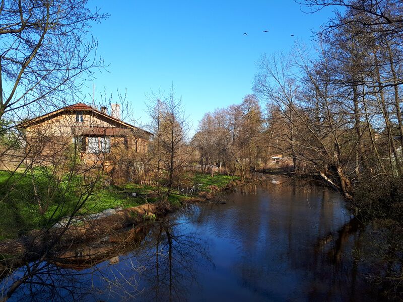 ملف:1836. Лебяжье. Река Лебяжья.jpg