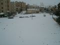 الثلج في عمان.