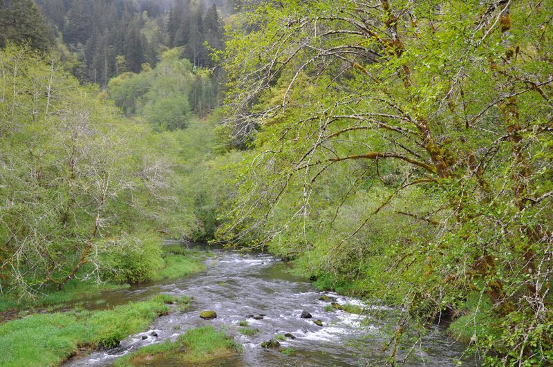 ملف:Deadwood creek.jpg