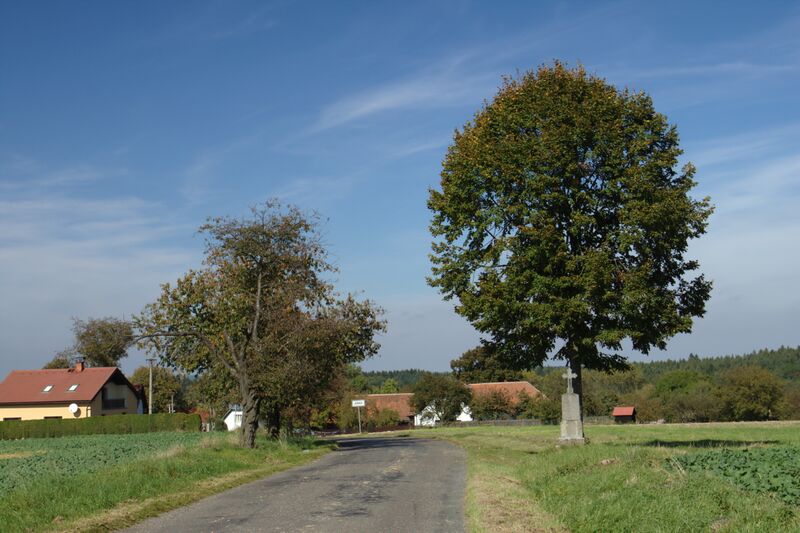 ملف:Ježovice, stromy.jpg