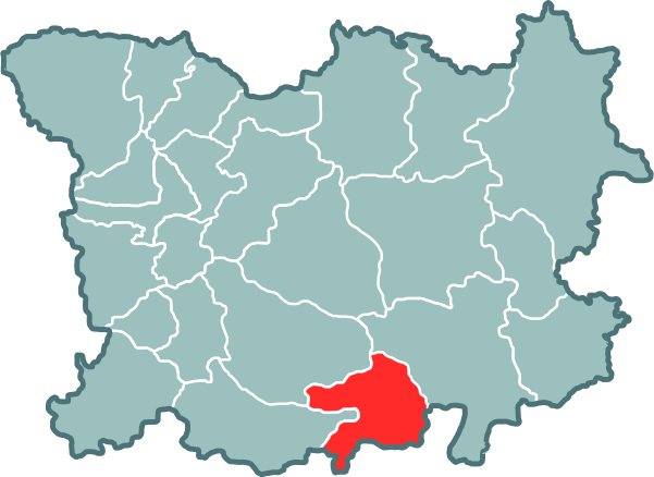 ملف:Mazyrski paviet. Мазырскі павет.svg