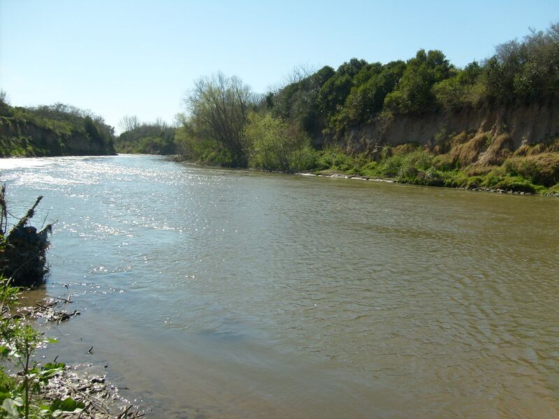 ملف:Río Carcarañá (Andino).JPG