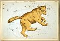 Book plate by Sidney Hall depicting Ursa Major